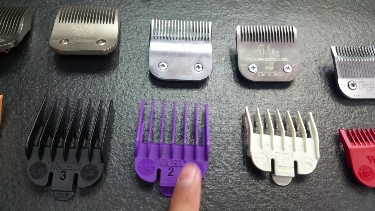 Closest detachable blades to Wahl guards