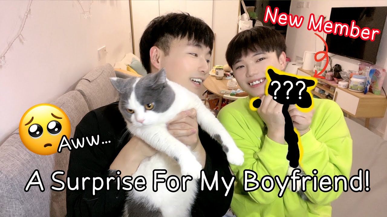 Welcoming A New Member Of Our Family!! Aww... | 歡迎新的家庭成員：糰子！[Gay Couple Lucas&Kibo BL]