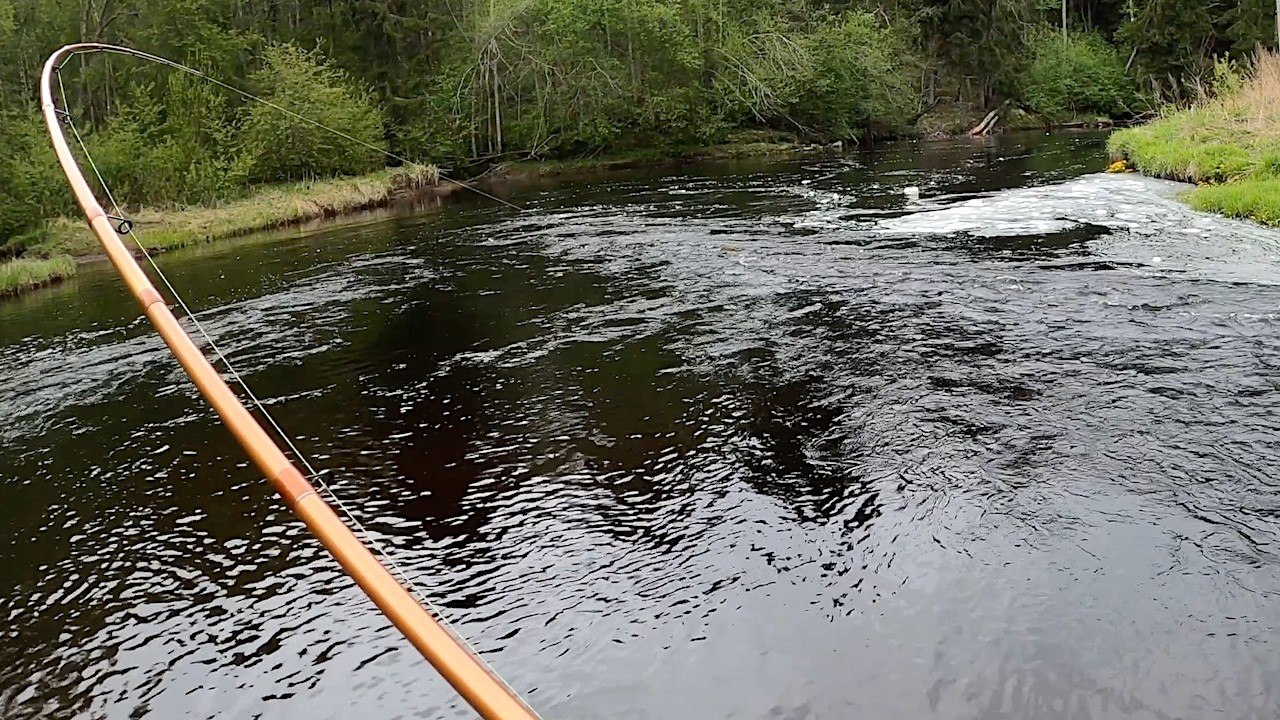 Isoin Kala Koskaan