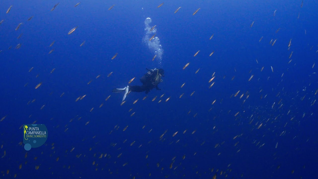 Punta Campanella Fun Diving Promo