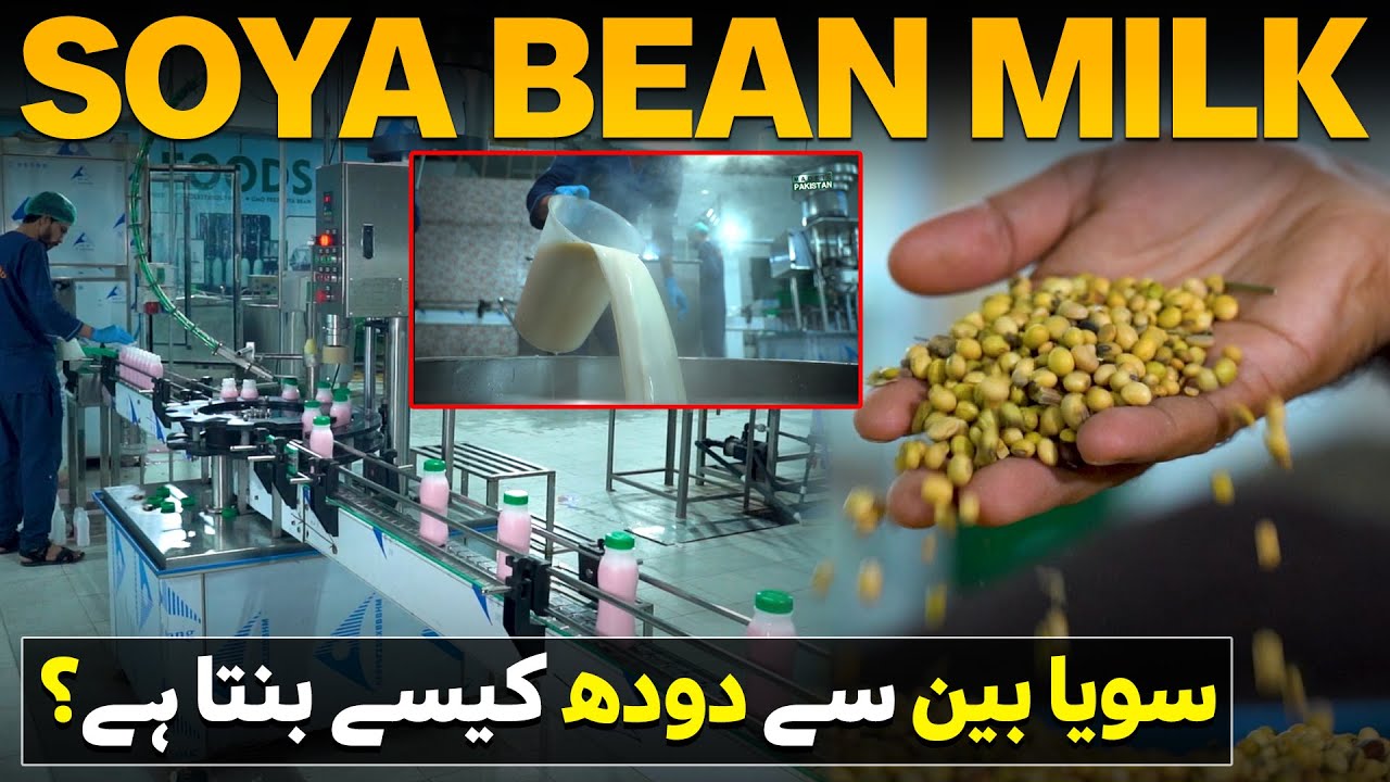 Soya Bean Milk Making Process Inside Factory | Made in Pakistan | Discover Pakistan