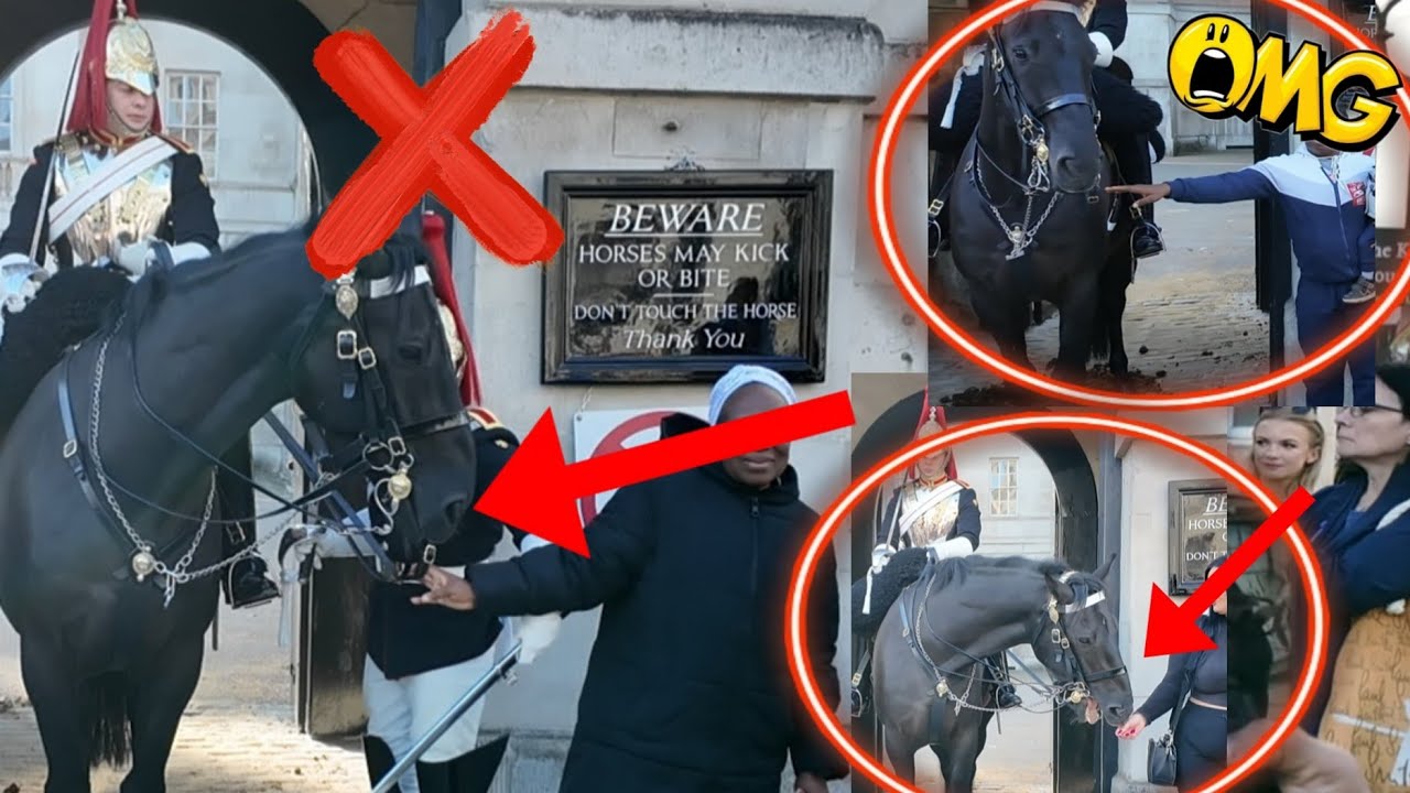 OMG!😳 WATCH THESE UNBELIEVABLE TOURISTS!