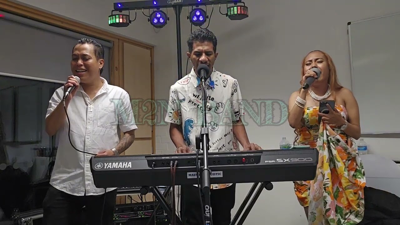 part 01_Live Party Milton Keynes M2N Band
