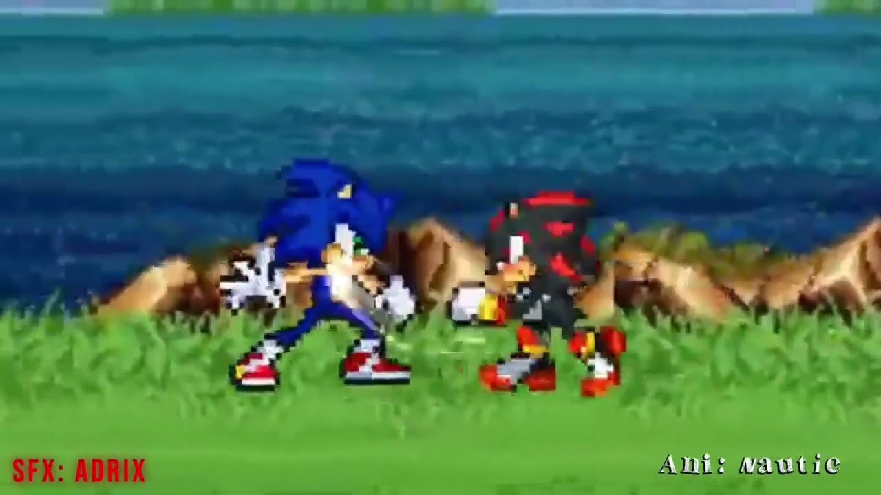 Sonic vs Shadow