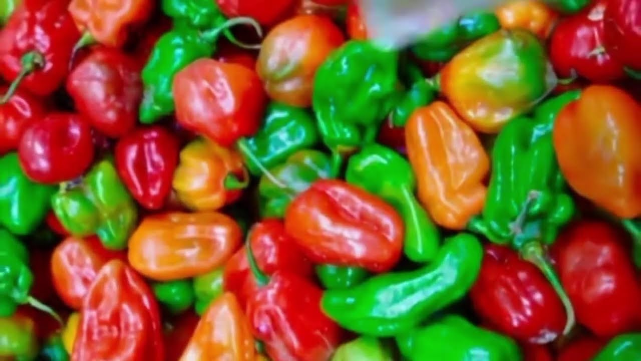 Ají dulce encurtidos escabeche receta #LaCocinaDePaz
