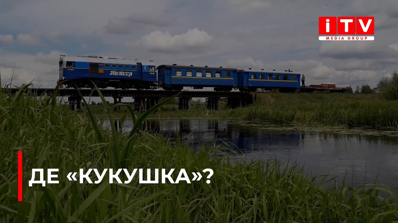Поліська 