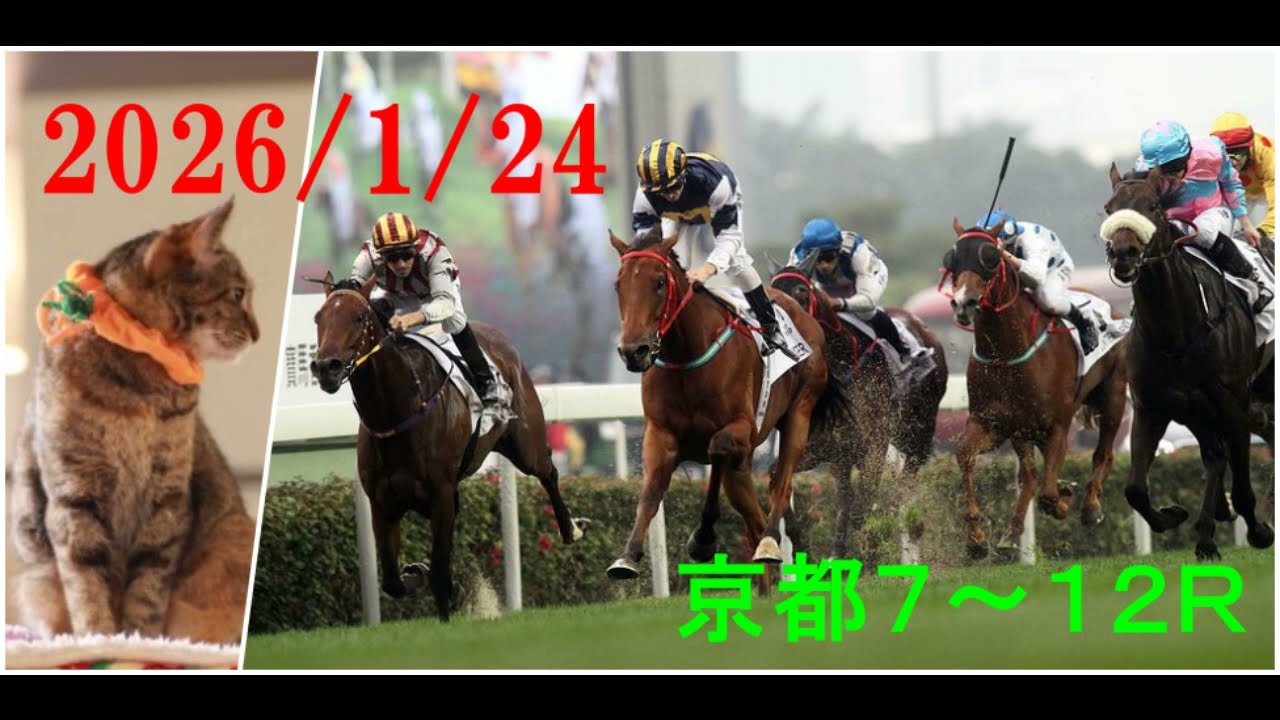 2026/1/24　京都７～１２レース　枠順確定