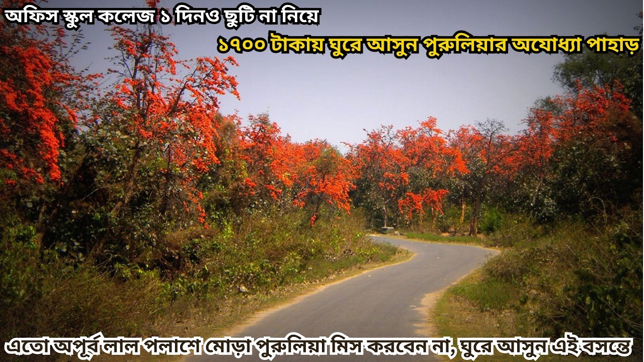 লাল পলাশের এই অপরূপ শোভা মিস করবেন না, পুরুলিয়ার অযোধ্যা পাহাড় মাত্র ১৭০০ টাকায় সম্পূর্ণ ভ্রমণ গাইড