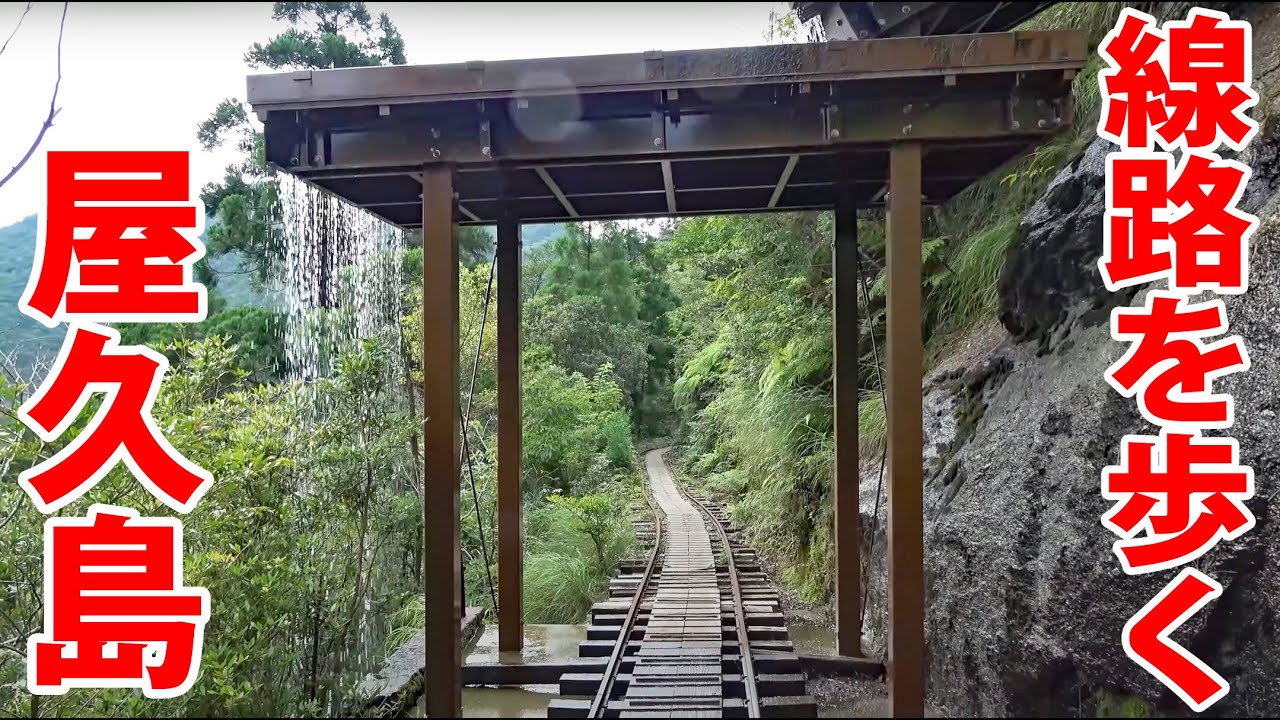 (7)山奥にある現役の鉄道線路を歩き回る！　桜島・屋久島に訪問　【日本一周 船の旅 第６,７日　鹿児島→桜島・屋久島】