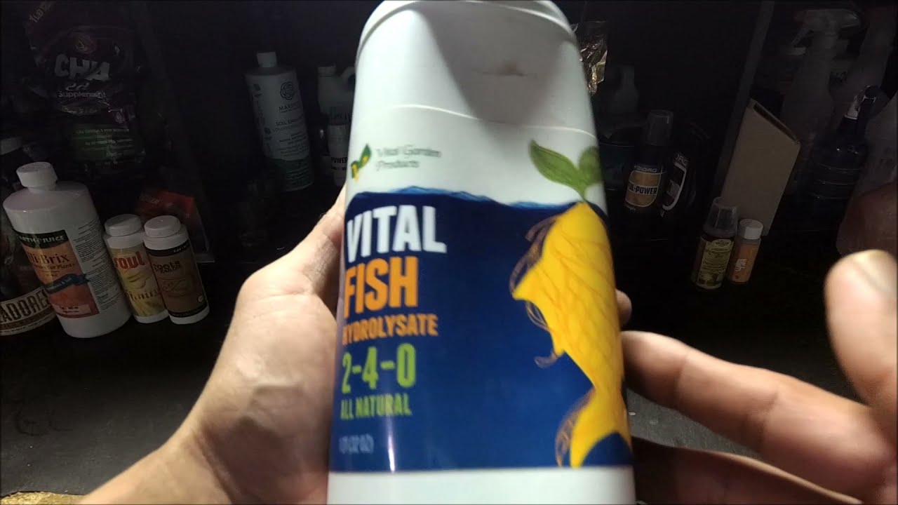 vitalfishmix