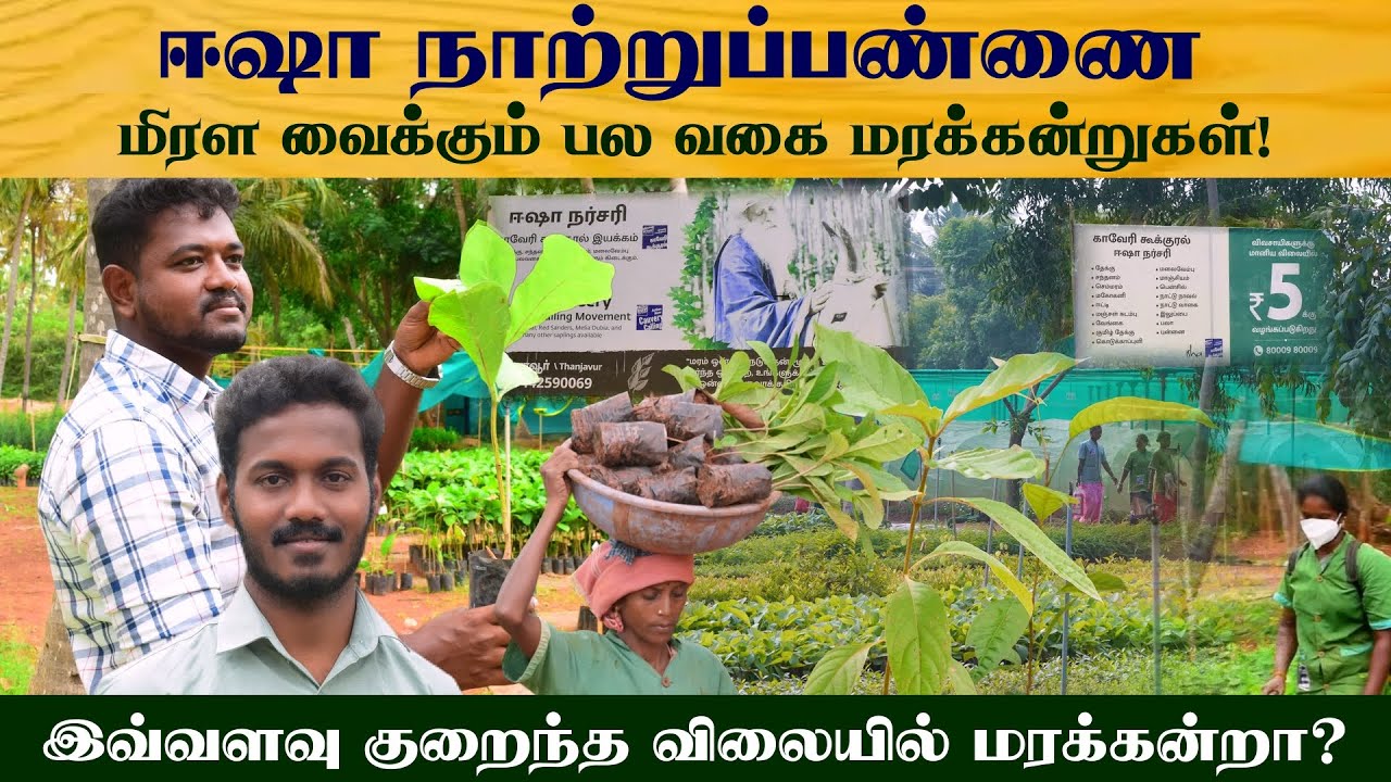 ஈஷா நாற்றுப்பண்ணை...!தமிழ் நாட்டில் 37 மாவட்டங்களில்...!