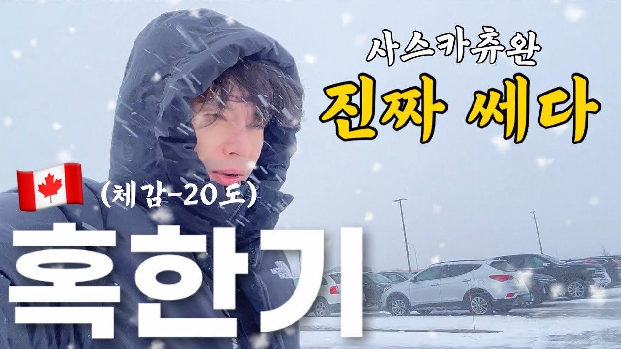 캐나다 사스카츄완 11월에 영하20도 폭설이라니...🇨🇦 혹한 지방 눈폭풍 처음 맛본 한국인