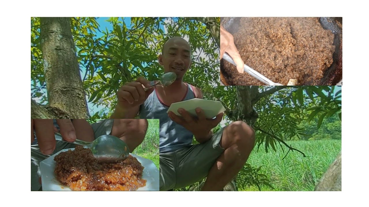 Outdoor cooking of sweet sticky filipino rice cake (biko) and eating at the top of indian mangoi