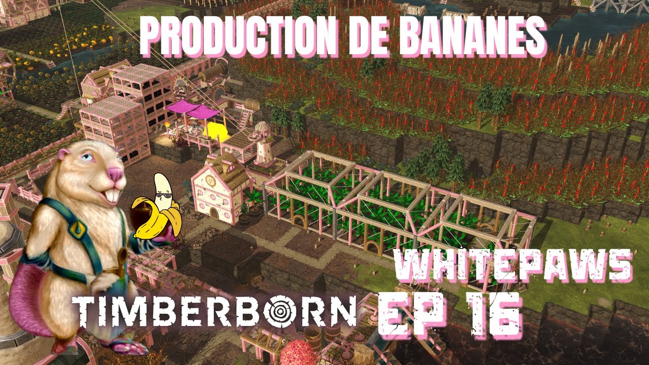 #16 Les WHITEPAWS 🐾 | production de bannane| Timberborn Modd&eacute; FR