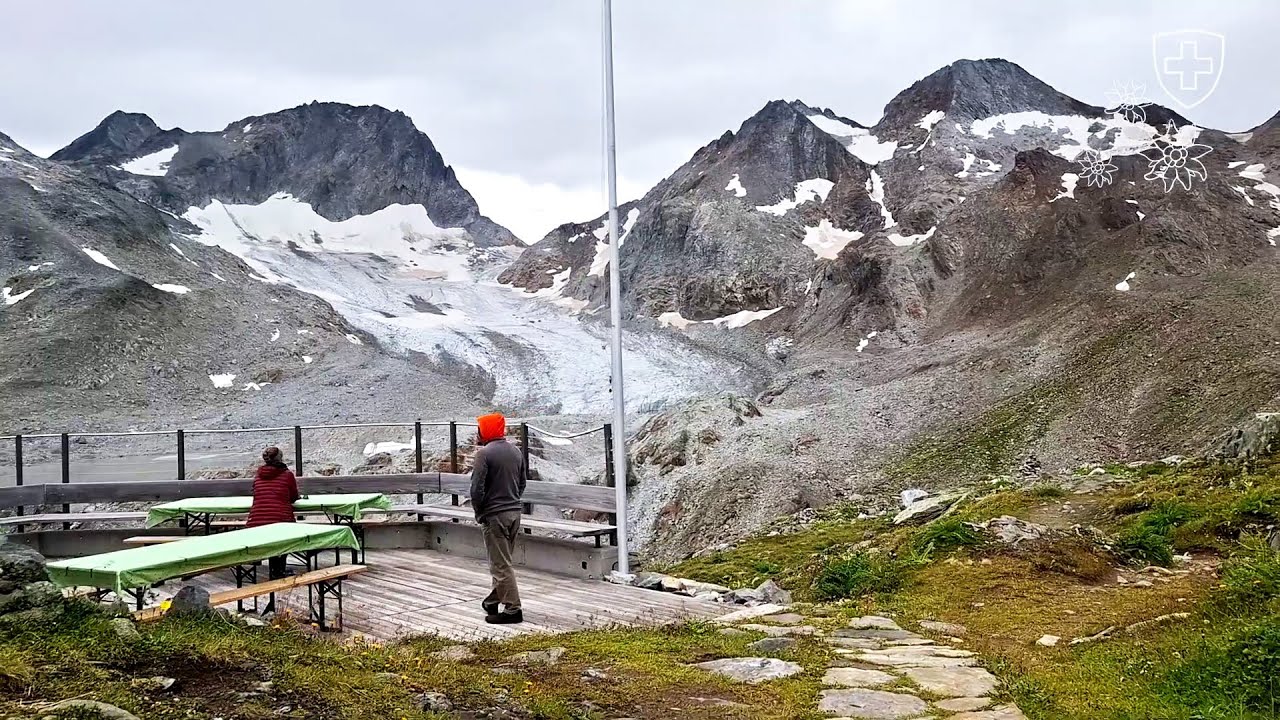 Peaceful stay at Rotondo SAC hut, with ibexes & excursion to Witenwasseren Glacier (2025/7/31–8/1)