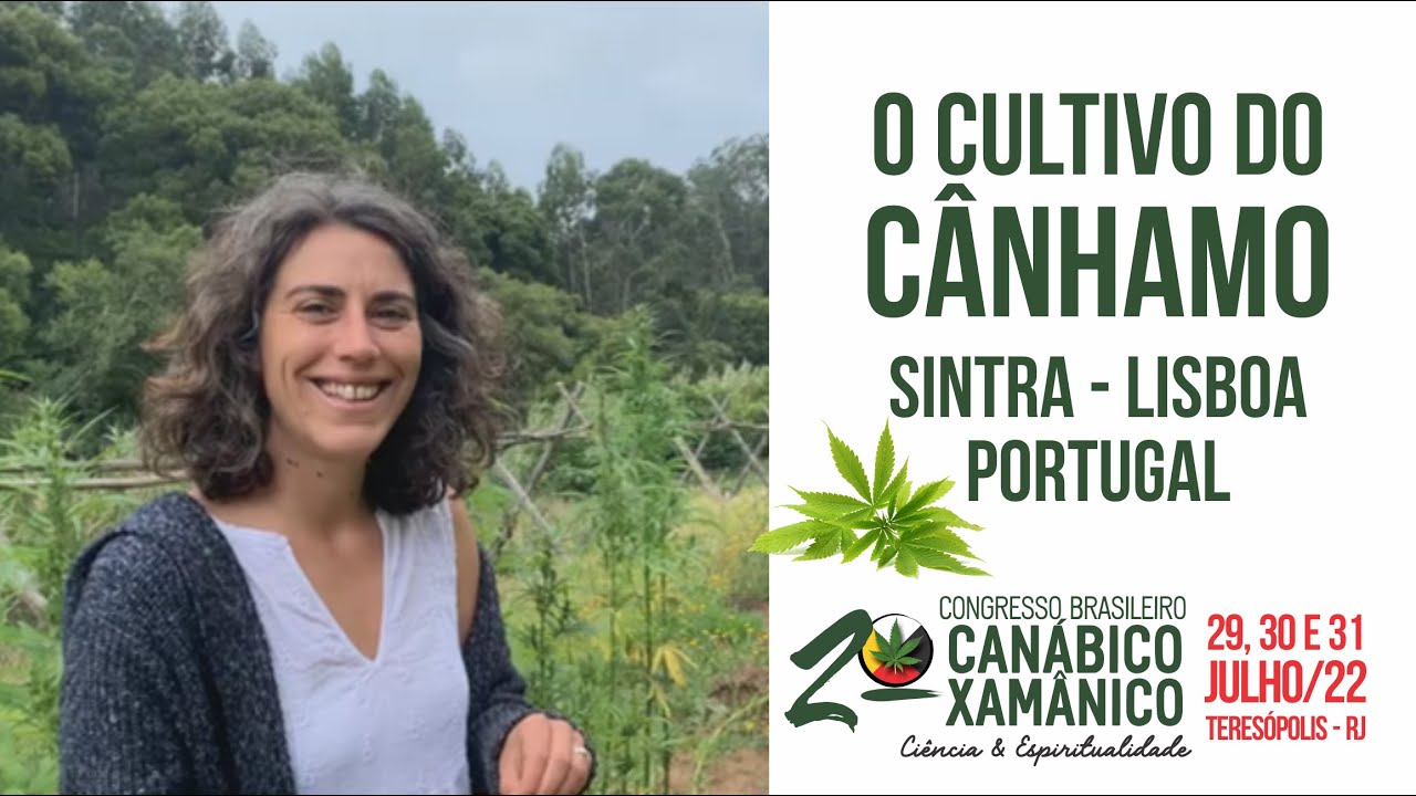 Cultivo do C&acirc;nhamo - c/ Rita Oliveira - Sintra - Lisboa - Portugal