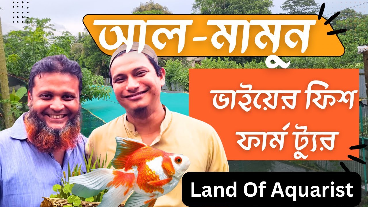 আসুন ঘুরে আসি বিক্রমপুরের আল-মামুন ভাইয়ের বিশাল মাছের খামার | Fish Farm Tour | Land of Aquarist