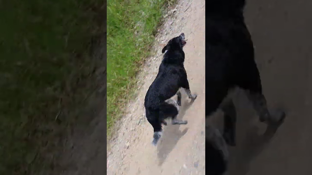 Você quer saber o valor de um tempo