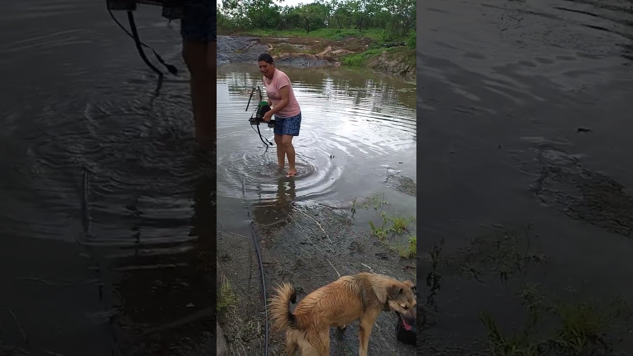 Chuvas de bençãos aqui em nosso sítio, obrigada Deus ! 