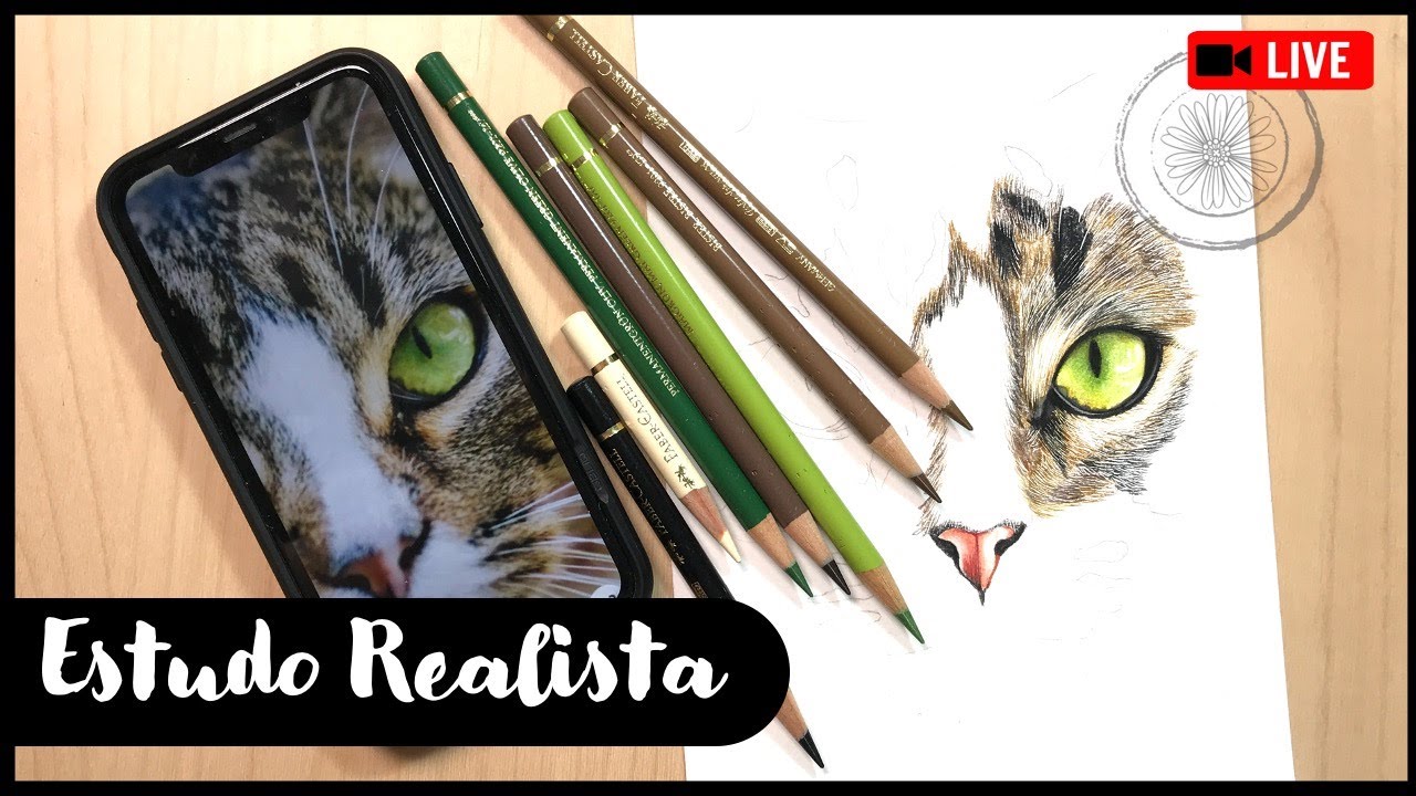 🔴 Live - Estudo de Realismo - Olho do Gato