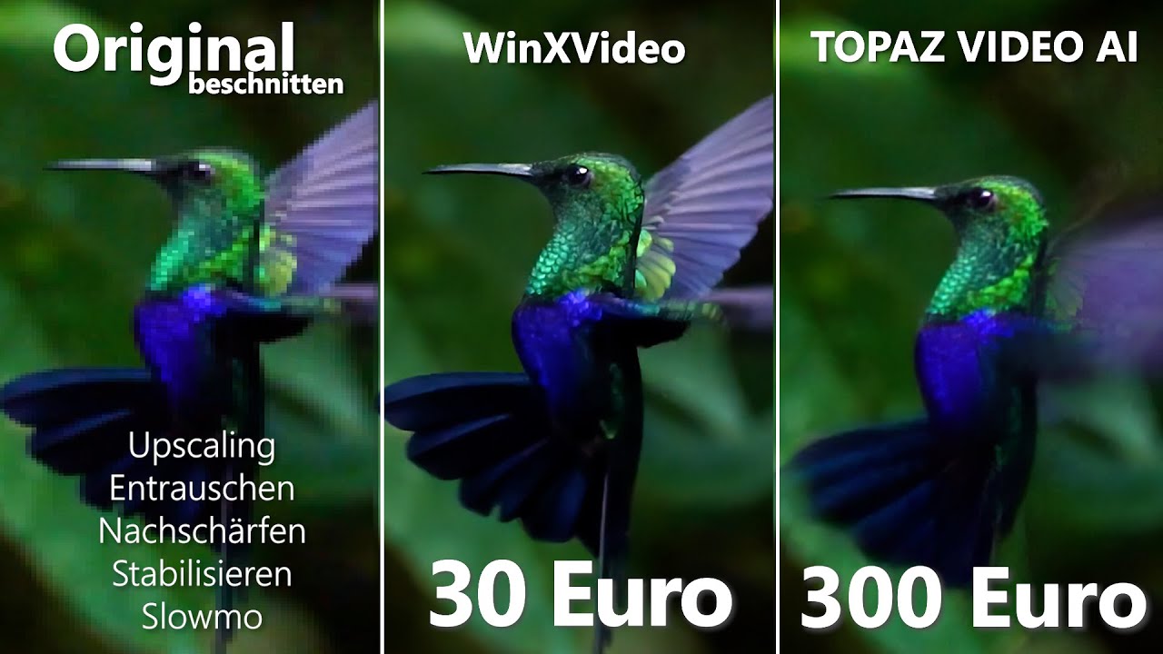 Superscharfe Videos mit 1 Klick? WinXVideo AI vs. TOPAZ VIDEO AI