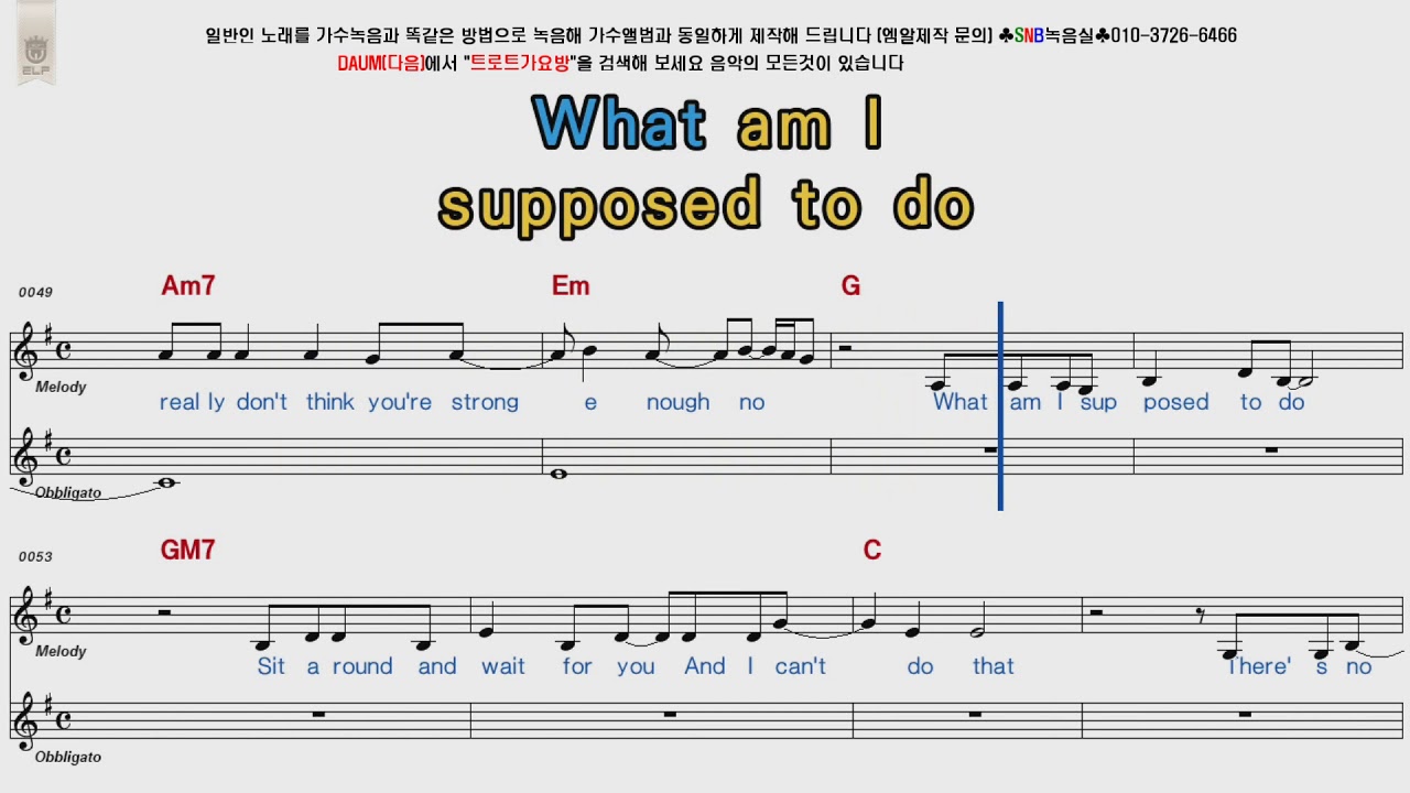 Cher   Believe POP Song Score Karaoke