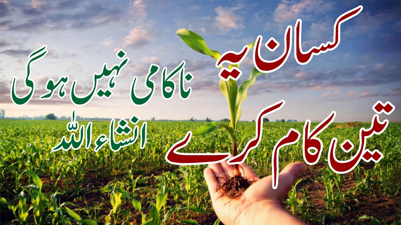 How you can earn from agriculture possible not impossible 