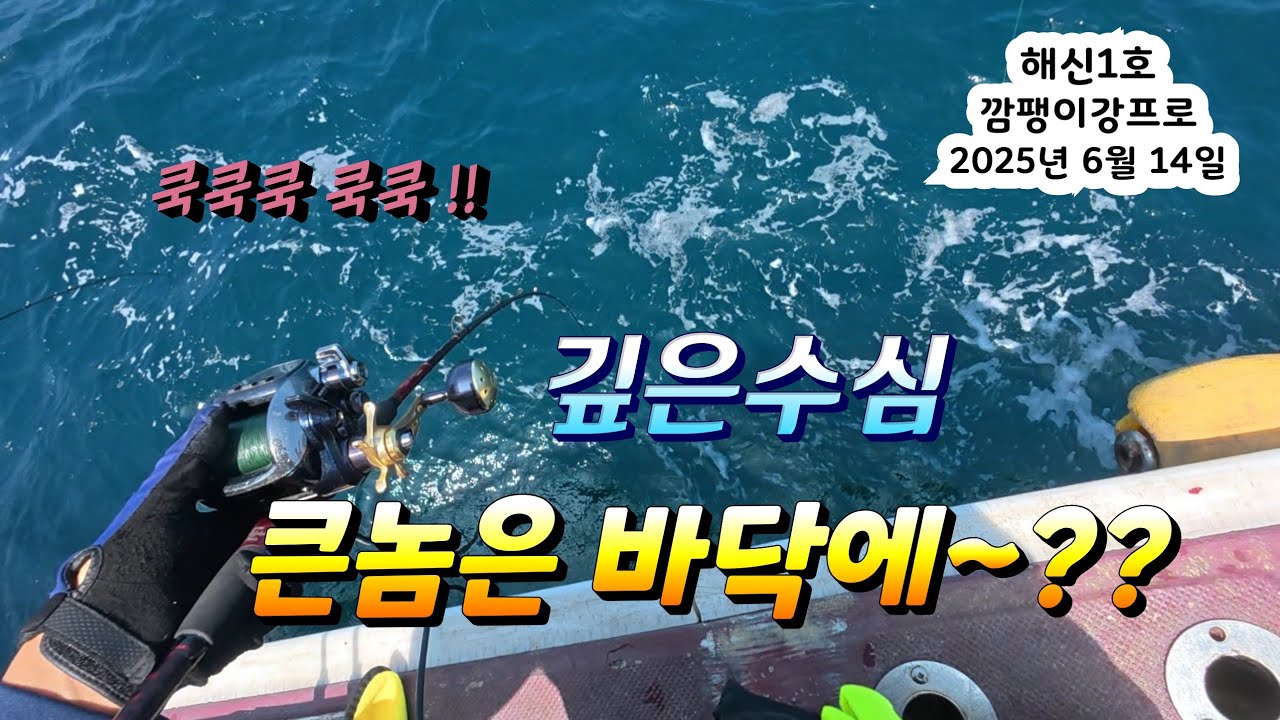 깊은수심 랜덤으로 잡힌 침선우럭들~  큰놈은 바닥에~??