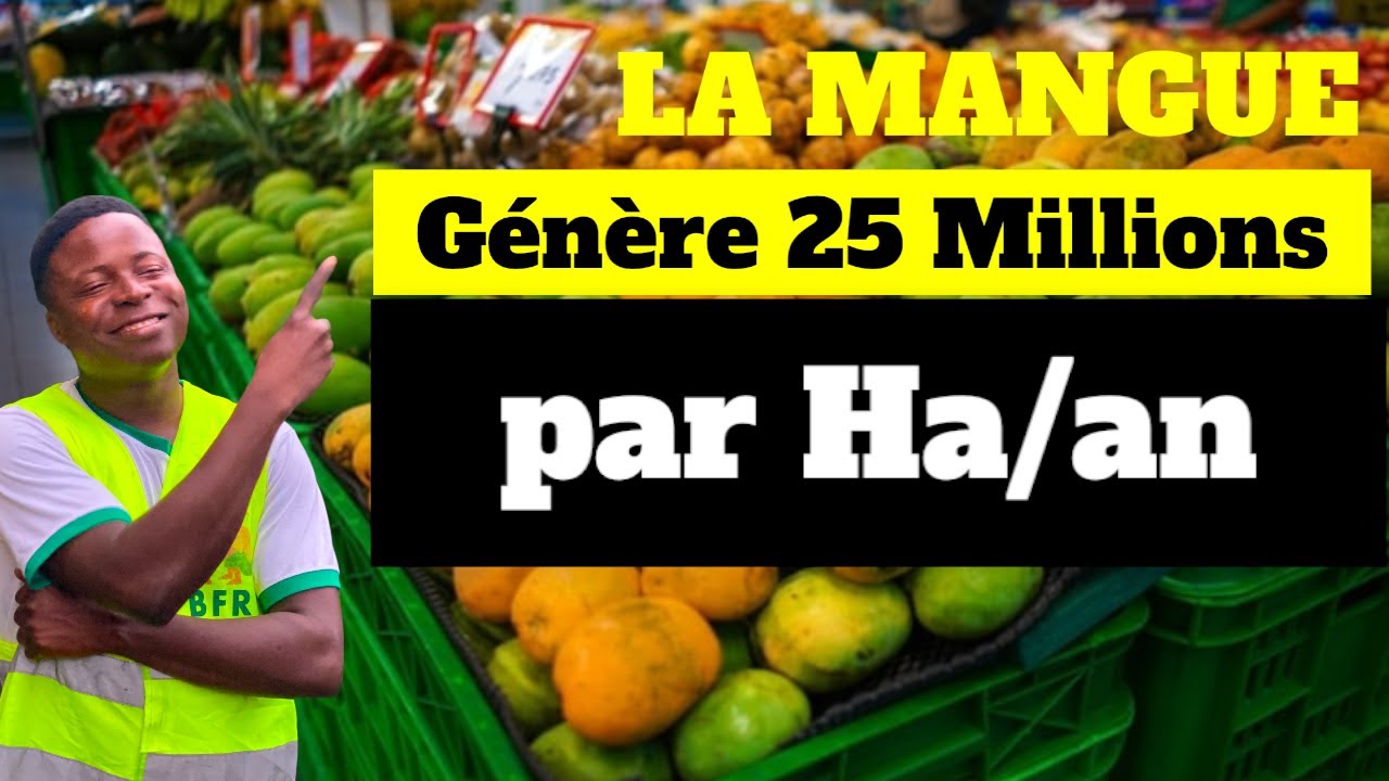 La mangue génère 25 Millions par hectare/ an.