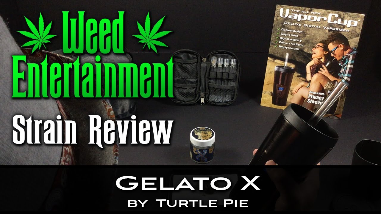 Gelato X - by Turtle Pie - October 2021
