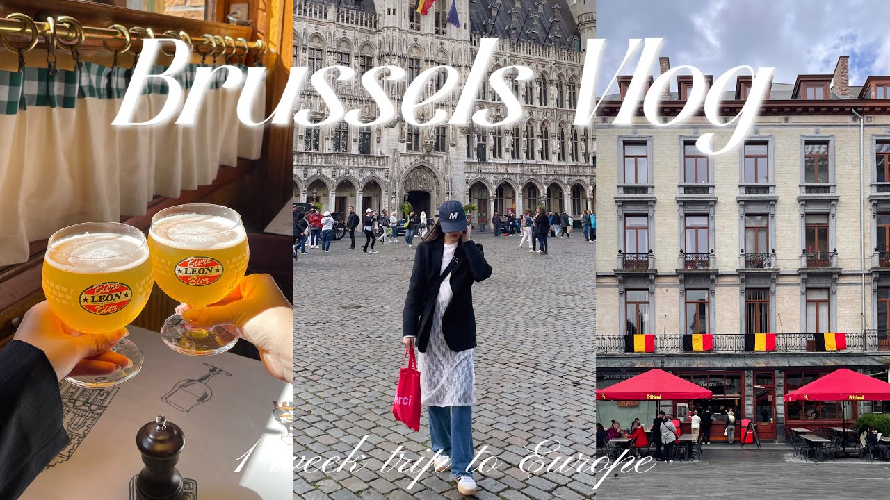 【Vlog】6泊9日ヨーロッパ旅行✈️🇧🇪Pt.3｜ブリュッセル日帰り旅｜ユーロスターでパリからブリュッセルへ🚉｜ベルギーポテト🍟｜ベルギーワッフル🧇｜ベルギービール🍺｜ムール貝｜社会人の休日