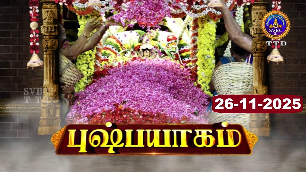 Pushpayagam || Ammavari Annual Brahmotsavams 2025 || Tiruchanoor || SVBC2 Tamil || 25-11-2025