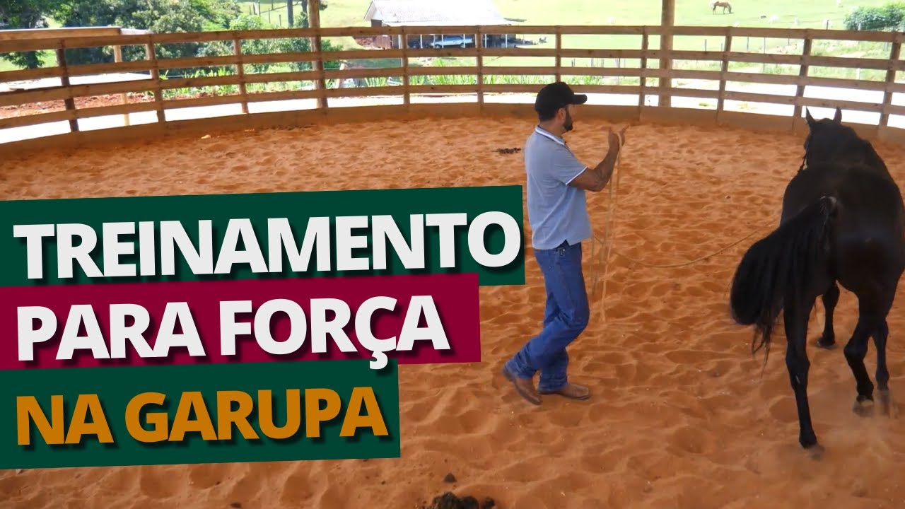 Como treinar força na garupa do cavalo para ele parar
