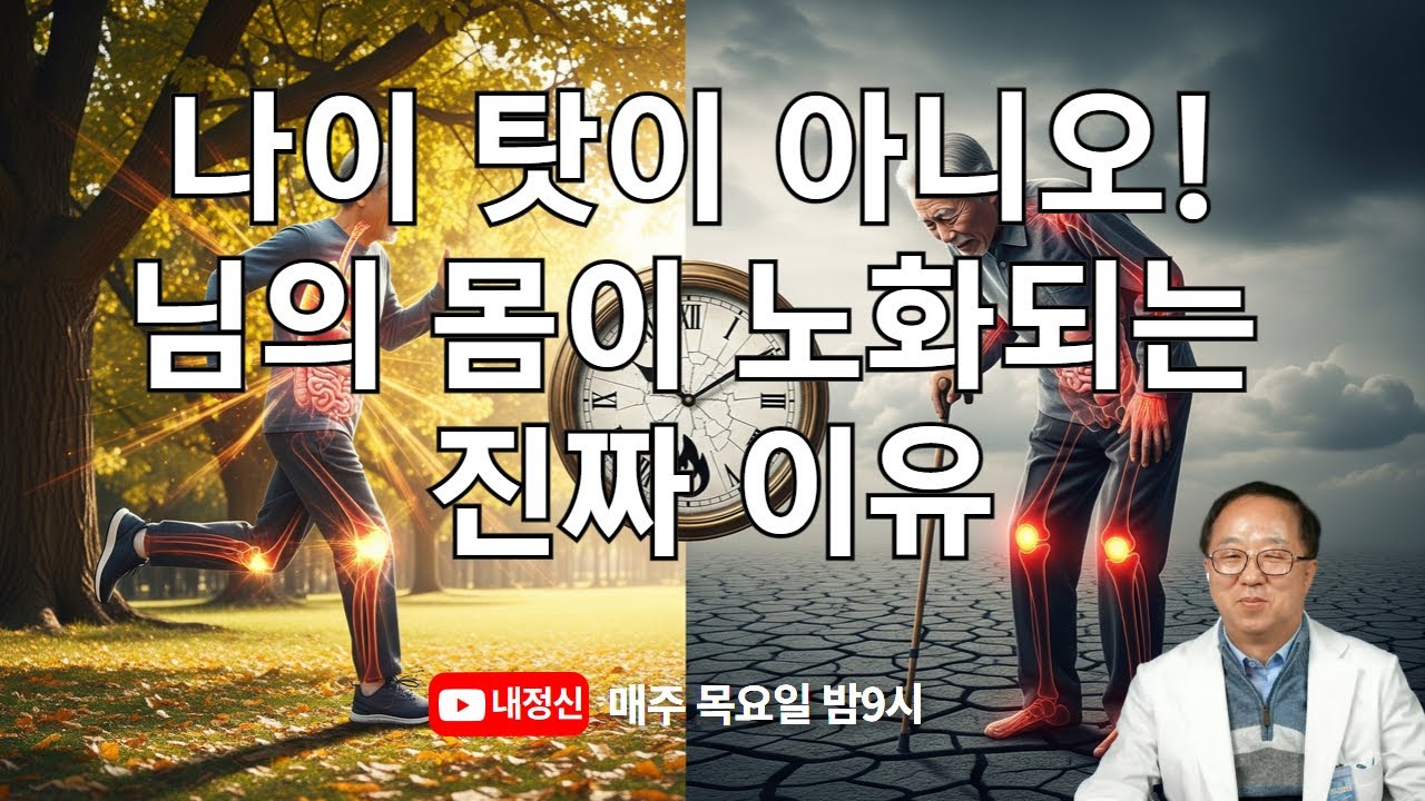 [푸드닥터] 제55회 