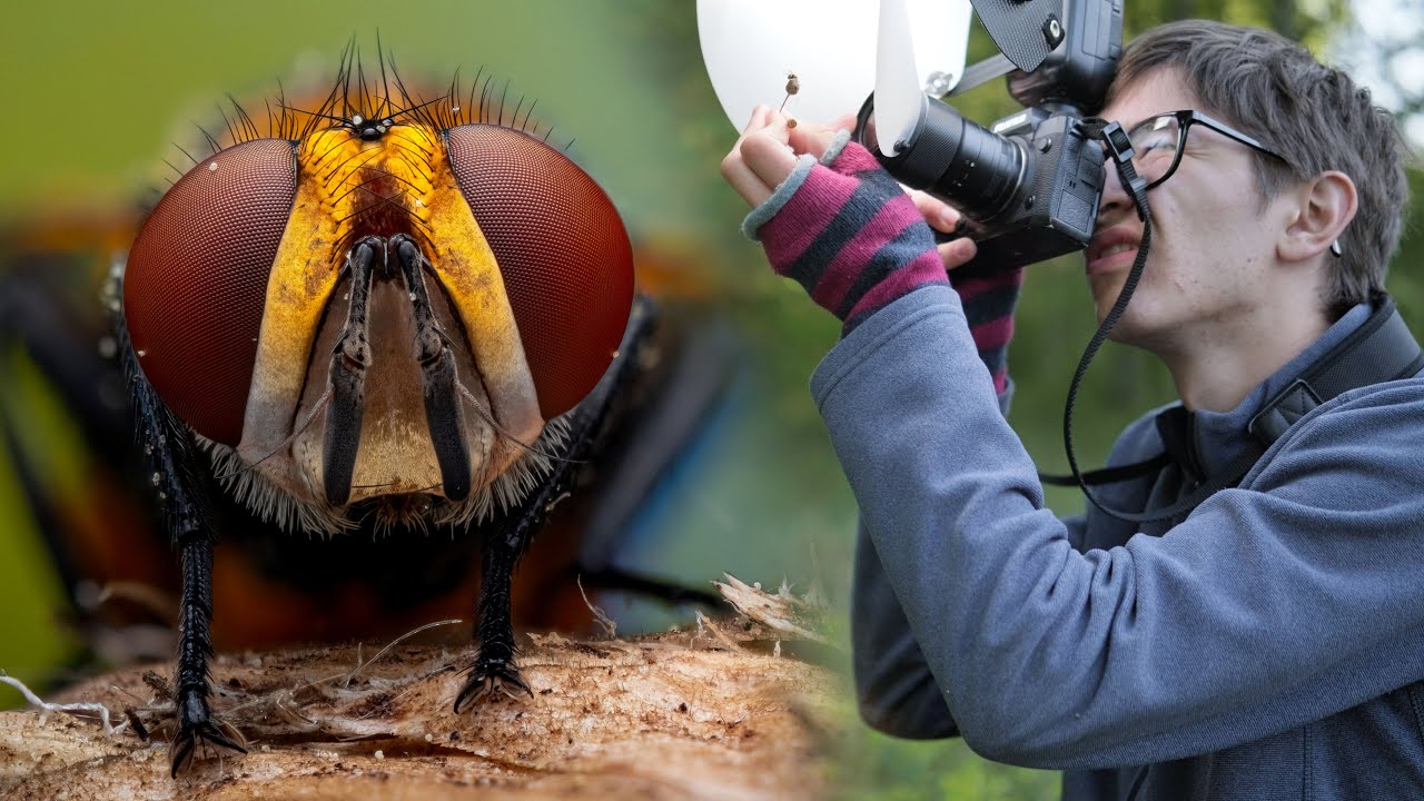 My #1 Trick  for Finding Insects - Macro Walks ep14
