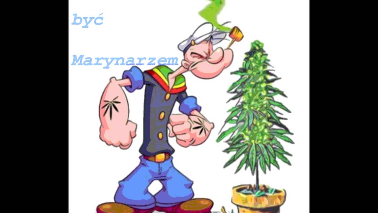 Zetu - Chciałem być marynarzem