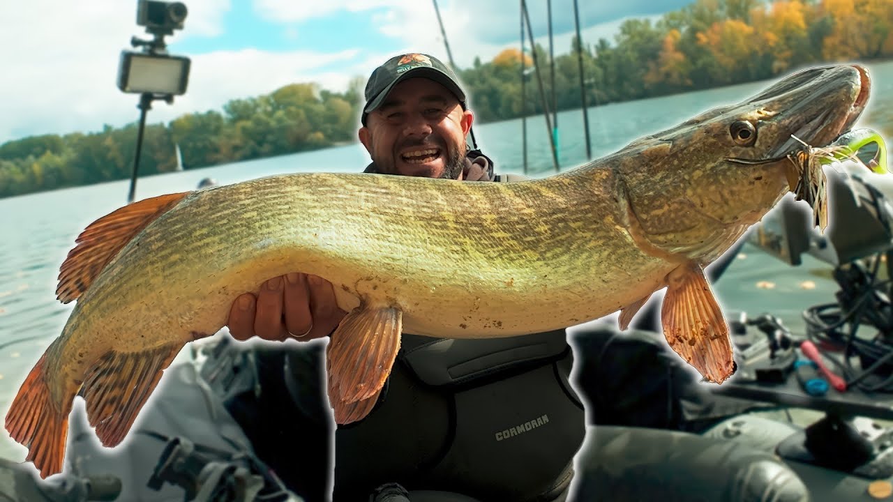 PIKE on BIG LURES with Belly Boat! Great Bites + Meter Gauge