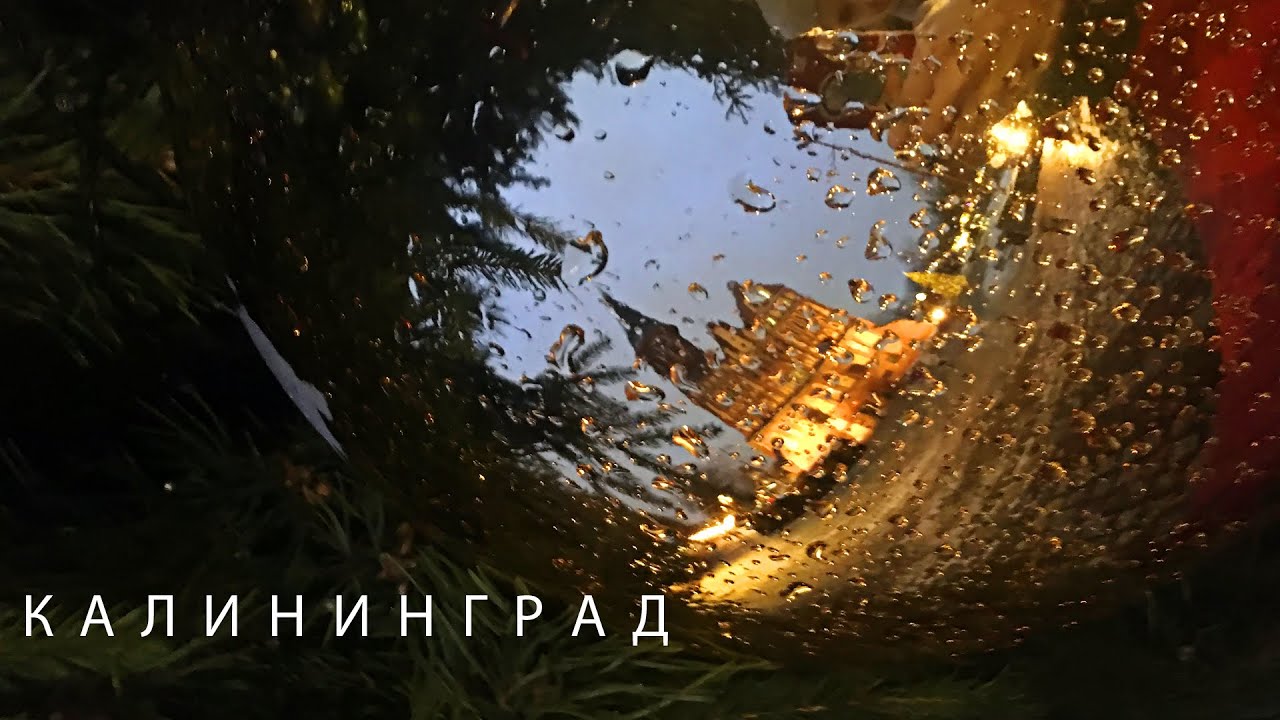 #57 Постновогодний Калининград за один день