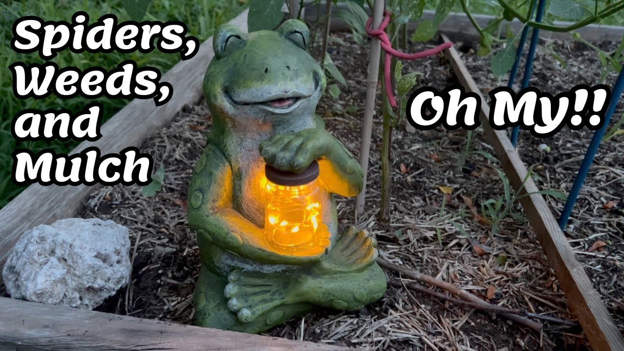 Let's Grow a Fall Garden!