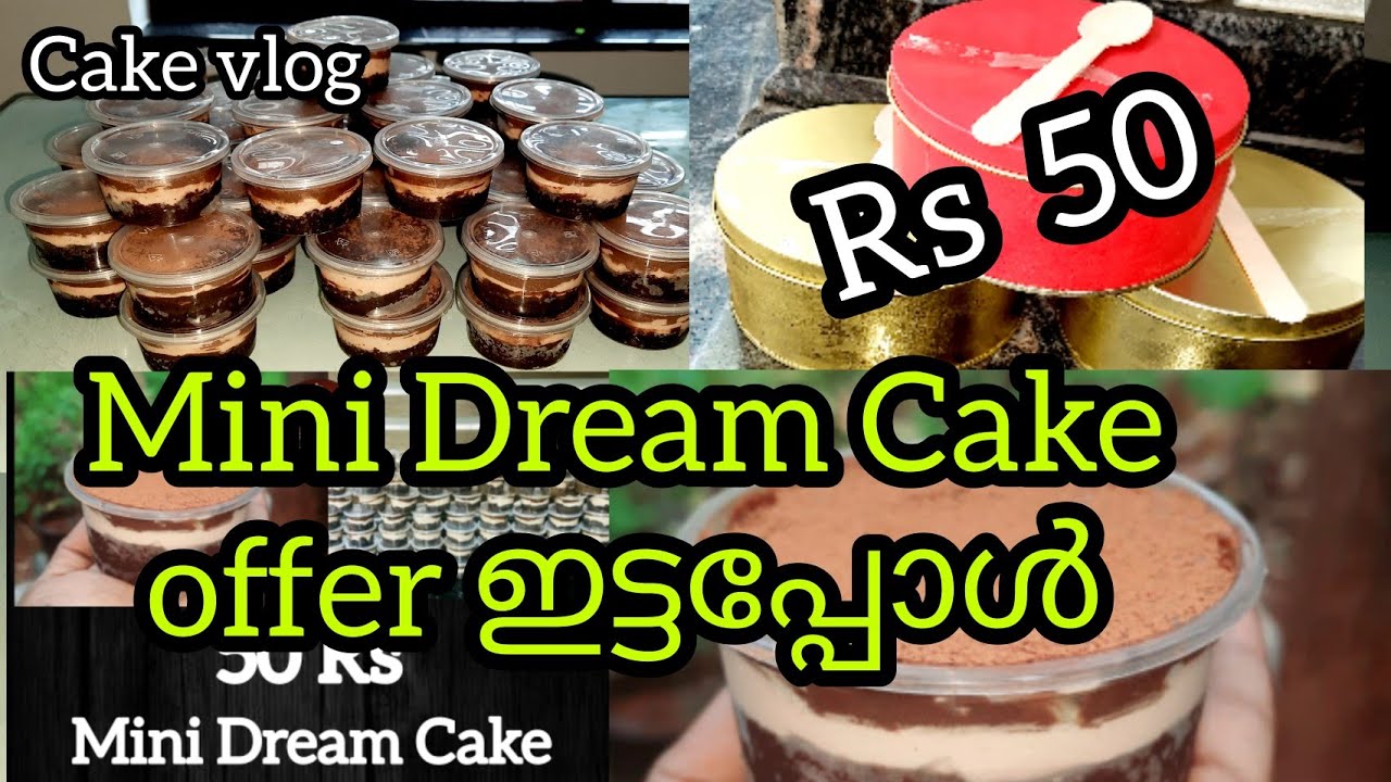 Mini dream cake / Sale സ്റ്റാർട്ട്‌ ചെയ്തപ്പോൾ ഇത്രയും ഓർഡർ ഞാൻ പ്രതീക്ഷിച്ചില്ല 🥰#cakevlog