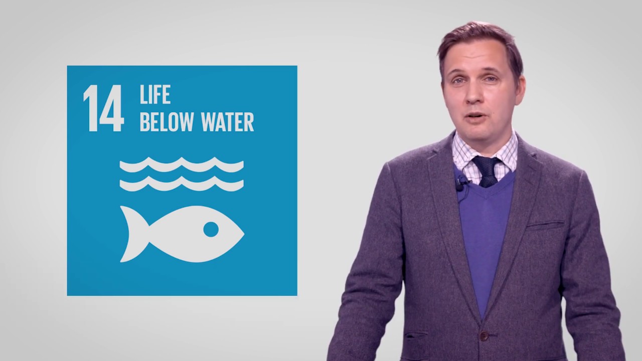 Sustainable Development Goal SDG 14 Life Below Water