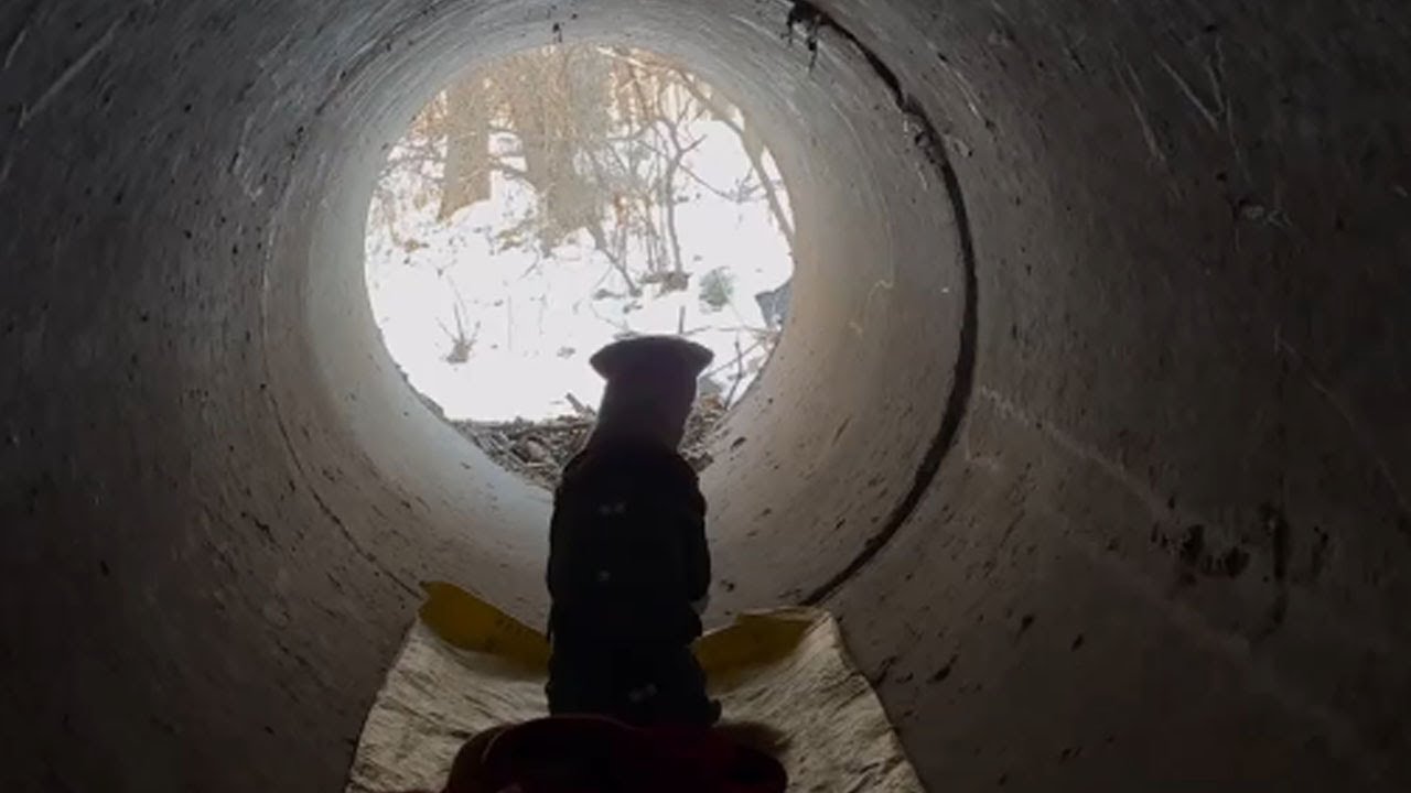 雪乡流浪记合集，下饭必看#dog #food #jk