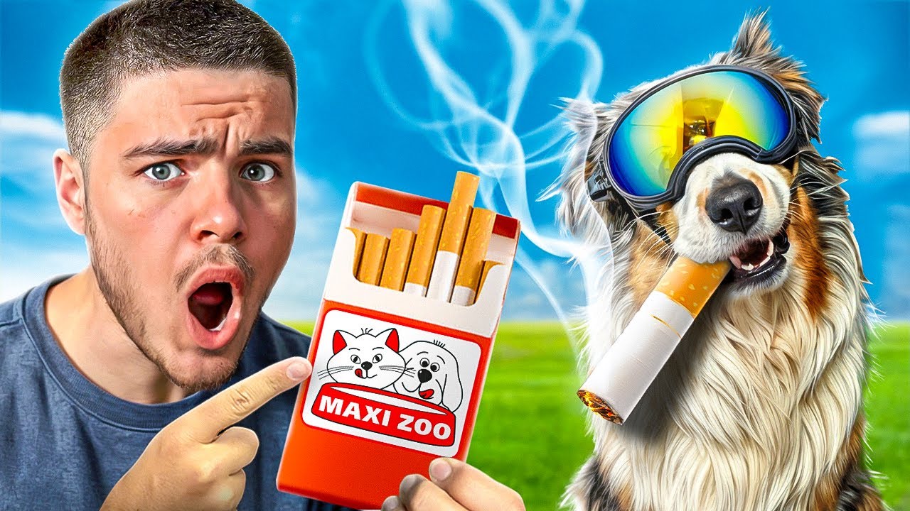 J'ai Achet&eacute; 10 Objets Pour Chien INTERDITS ! (ILL&Eacute;GAL OU PAS ?)