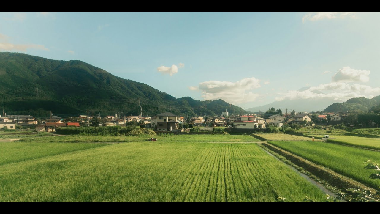 Math Rock Playlists to listen to while walking the Grass-scent filled countryside 🍃🍂🍃
