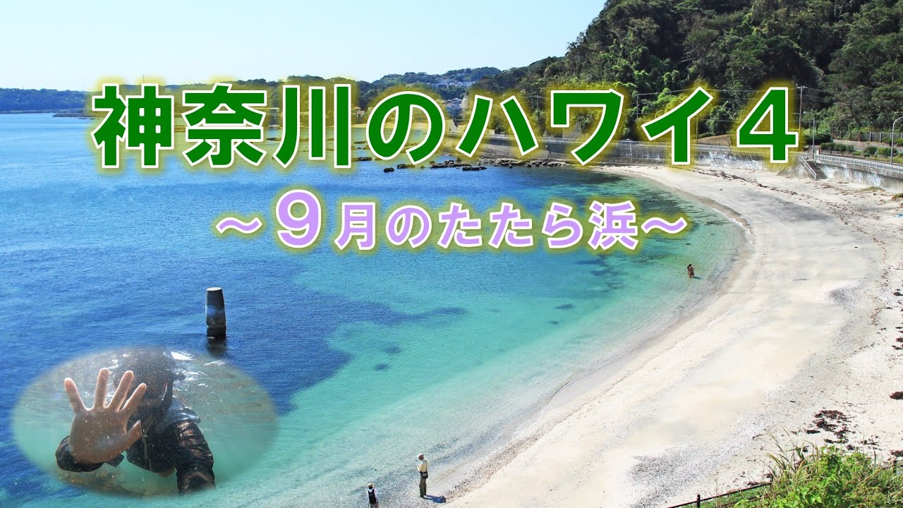 神奈川のハワイ その４ ～美しい９月のたたら浜をご紹介～