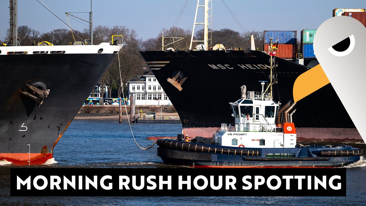 Morgentliche Rush Hour 🚢 Fünf dicke Pötte und Beluga ⚓️ Shipspotting in Finkenwerder