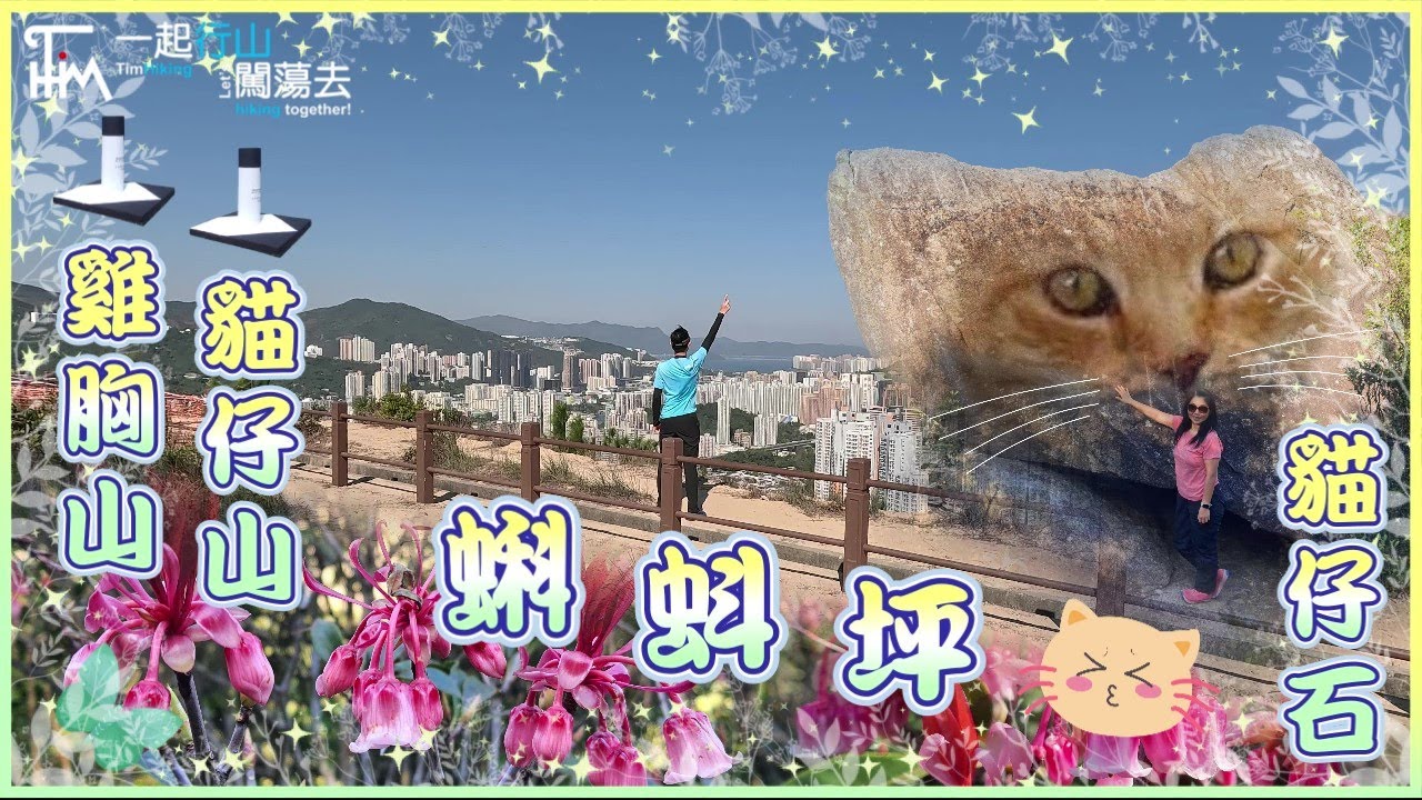【輕鬆行山郊遊】蝌蚪坪🐸貓仔山🐱雞胸山🐔十二笏吊鐘花🥀 短線由沙田圍行到慈正邨 沿路荒徑少人 | 上貓仔山找貓仔石 | 順路經十二笏睇吊鐘花 多有多睇少有少睇 | TimHiking