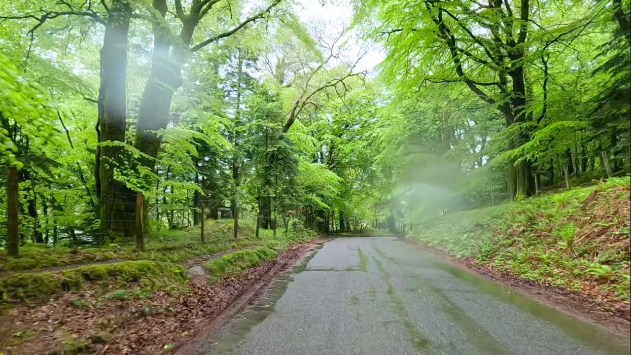 4K Drive ☔️ Dartmoor, Devon UK