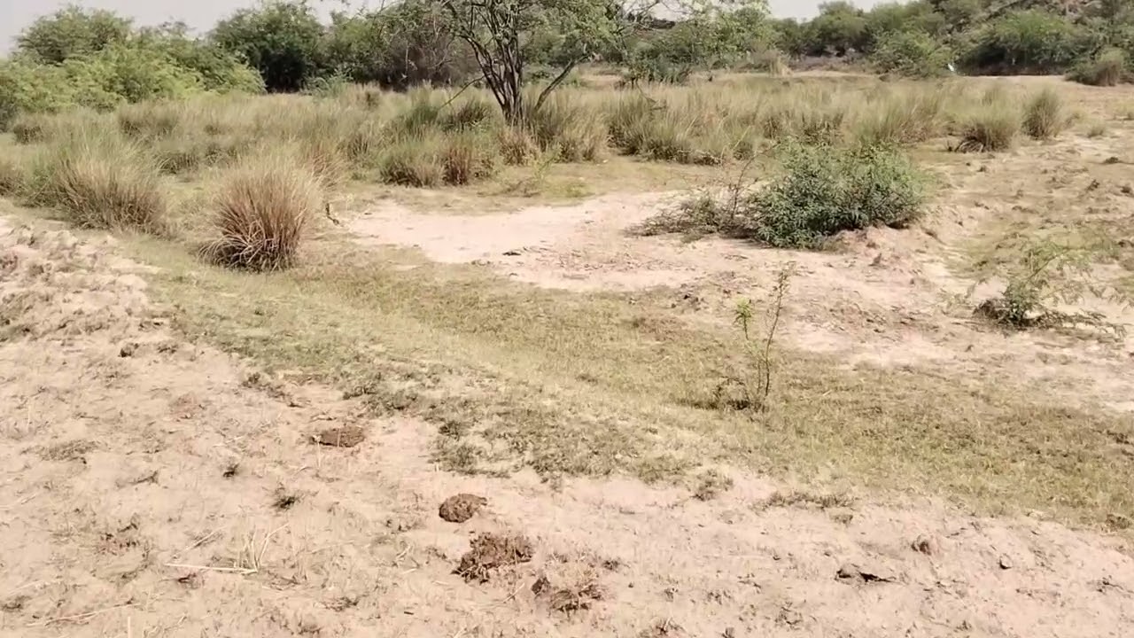 100 kanal land for sale in attock Panjab.#agriculturalland #raqba #attock .Cal 03005636263