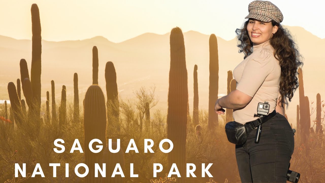 Saguaro National Park West (Half Day Itinerary)